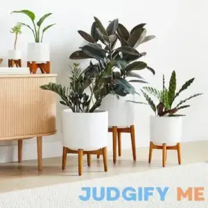 West Elm Mid-Century Turned Wood Leg Planter Ceramic