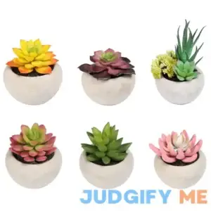 Mainstays Assorted 4 inch Artificial Succulent Plants in Cement Pots