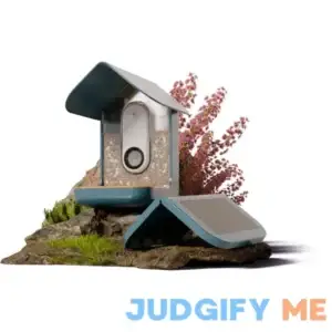 Bird Buddy Smart Feeder with Solar Roof by Kyle Buzzard