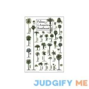 Earth Sky + Water Palms & Cycads of the American Southeast