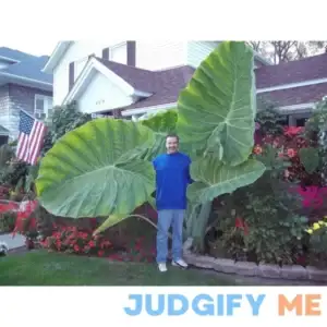 Colocasia Gigantea Thailand Giant - Leucocasia Elephant Ear Aroid Colocasia