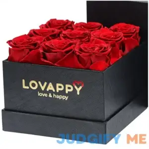 Preserved Roses in A Box - Forever Roses That Last A Year - Eternal Rose Box - Flowers for Delivery Prime Birthday - Long Lasting Roses in Box- Gift