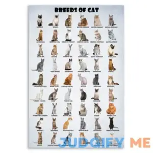 HLLNWB Breeds of Cat Poster Types of Cat Poster Cat of The World Funny Cat Lovers Poster (Unframed 12x18inch)