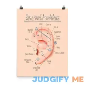 Ear Piercing Chart Infographic Print Wall Art Updated Version Poster