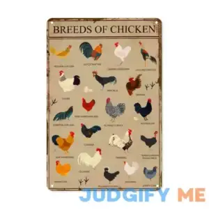 ASoftblak Vintage Breeds Of Chicken Aluminum Metal Sign