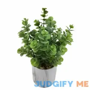 Mainstays 11.5 inch Eucalyptus Pot Green