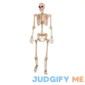 Seasons USA Skeleton Poseable Halloween Decoration