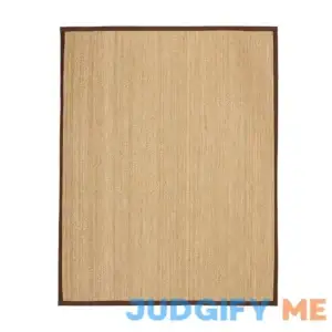 Pottery Barn Custom Color-Bound Seagrass Rug