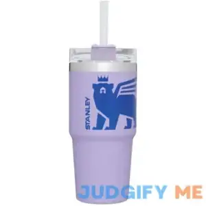 Stanley Quencher Tumbler