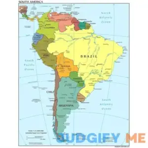 IEFSCAY Wall Art Waterproof Printing Poster Canvas Unframed Map of South America Wall Decoration for Bedroom Kitchen