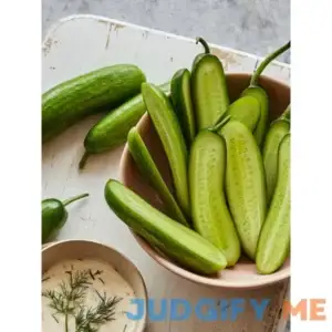 Burpee Cucumber Mini Party Time Hybrid