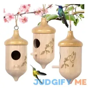 Lotkey Hummingbird House