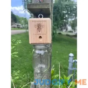 Best Carpenter Bee Trap