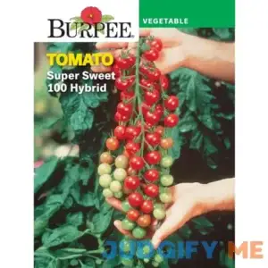 Burpee Super Sweet 100 Hybrid Tomato Vegetable Seed
