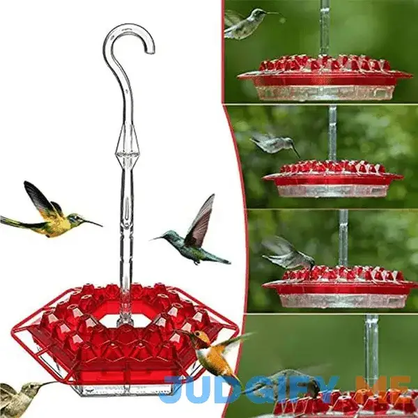 Mary's Sweety Garden Hummingbird Feeder With Built-in Ant Moat And Perch Mary's Sweety Garden Hummingbird Feeder With Built-in Ant Moat And Perch