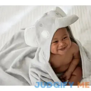 Critter Baby Hooded Towel