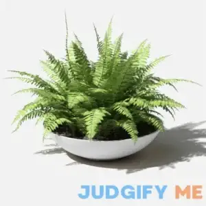 Mercury RowВ® Pure Series Lane Bowl Planter Size H x D