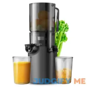 Masticating Juicer