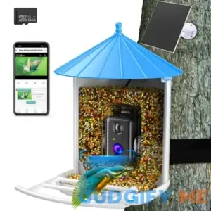 Smart Bird Feeder with Camera