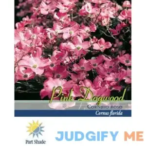 Pirtle Nursery 2.93 gal. Pink Dogwood Tree