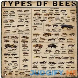 WZVZGZ Tin Sign Vintage Wall Poster Bee Types Poster Types of Bee Poster