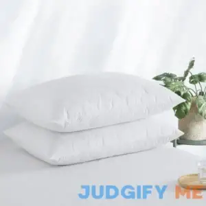 Peace Nest White Quilted Feather Down Pillow
