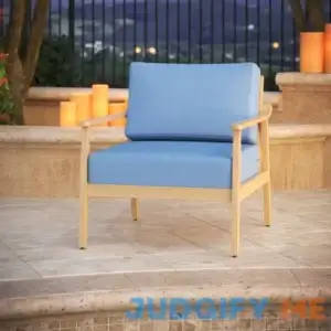 Outdoor Sunbrella Seat/Back Cushion Sol 72 Outdoor Fabric