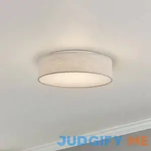 Armande 1-Light 15" LED Flush Mount Joss & Main Fixture Finish