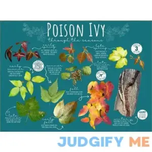 Metal Sign Poison Ivy Seasonal Sign Retro Tin Sign Vintage Aluminum Sign for Home Cafe Bar 8x12 Inches