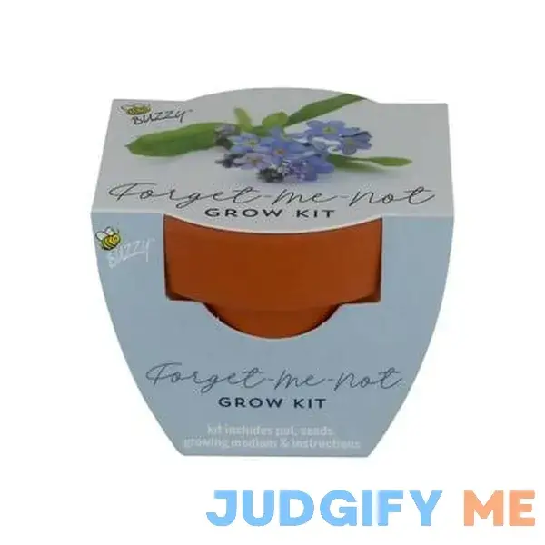 Buzzy Forget-Me-Not Flower Grow Kit Mini Terracotta Pot Item 97387 Buzzy Forget-Me-Not Flower Grow Kit Mini Terracotta Pot Item 97387