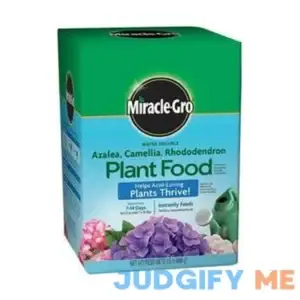 Miracle Gro Azalea