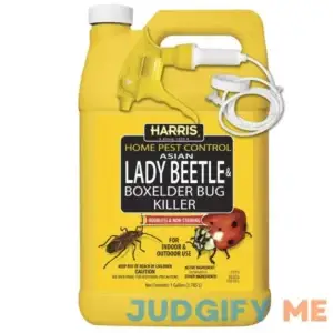 Harris Asian Lady Beetle & Box Elder Bug Killer