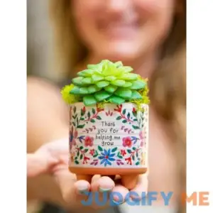 Natural Life Mini Artisan Planter