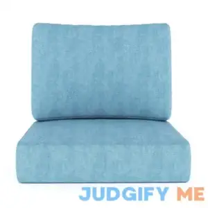 Birch Laneв„ў Outdoor Sunbrella Seat/Back Cushion Fabric