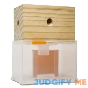 Bee Warehouse Carpenter Bee Trap Wood Boring Bee Trap Unique Catch & Release Outdoor Carpenter Bee Trap