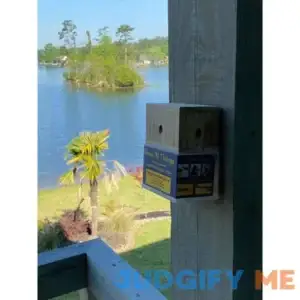 Bees N Things Carpenter Bee Trap