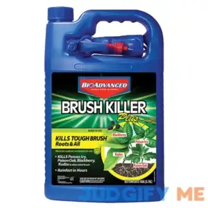 BioAdvanced 1 gal Ready-to-Use Brush Killer Plus