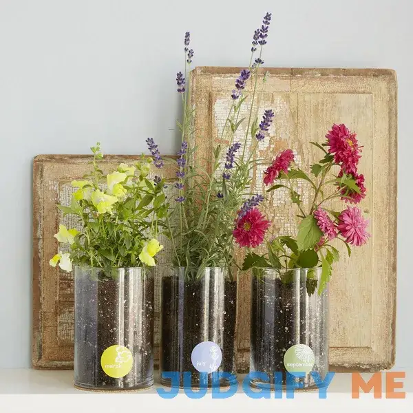 Birth Month Flower Grow Kit Grow Kits Seed Gifts Birth Month Flower Grow Kit Grow Kits Seed Gifts