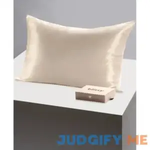 Blissy Mulberry Silk Pillowcase
