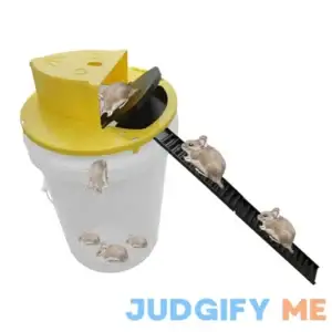 Bucket Mouse Trap| Slide Flip Bucket Lid |Trap Door Style| |Multi Catch |Auto Reset| |Indoor Outdoor|