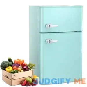 COWSAR 3.2-cu ft Mini Fridge with Freezer F5890