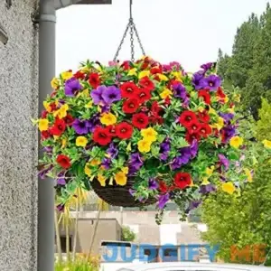 Calibrachoa Seeds Perennial Annual Attracts Butterflies & Hummingbirds Deer Resistant Hanging Basket Border Container Outdoor 200Pcs Flower Seeds