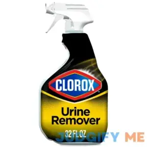 Clorox Urine Remover