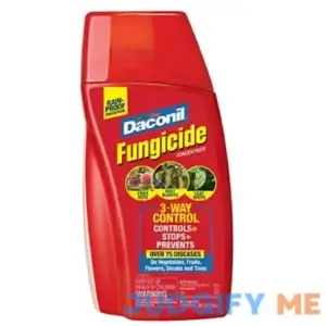 Daconil Fungicide 16 oz
