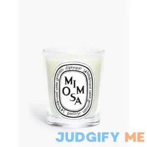 Diptyque Scented Candle