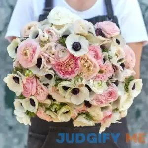 Eden Brothers Anemone & Ranunculus Paris In Spring Collection