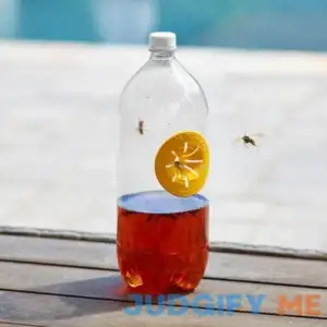 Fatal Funnel Wasp and Hornet Traps