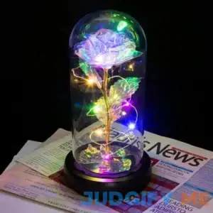 Galaxy Rose Enchanted Rose Forever in Glass Mother's Day Gift