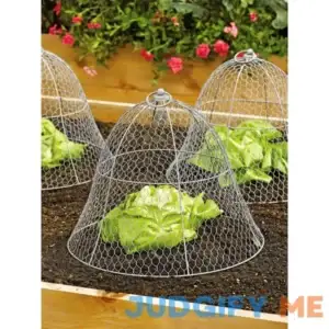 Gardener's Supply Company Sturdy Chicken Wire Cloche Plant Protector & Cover