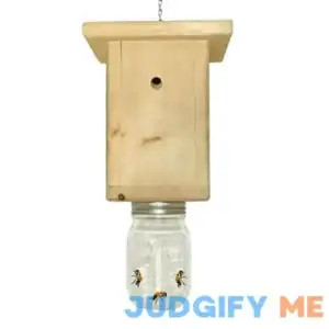 Gersome Wasp Trap Bee Traps Catcher Wasp Trap Outdoor Hanging Carpenter Bee Traps Wasp Deterrent Killer Insect Catcher Reusable Hornet Yellow Jacket